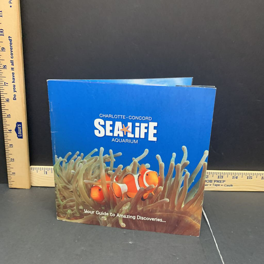 Sealife Aquarium -educational