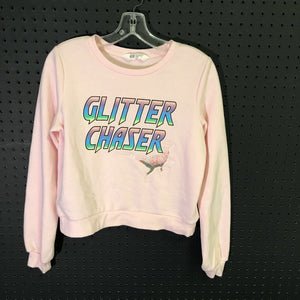 "Glitter Chaser"dino sweatshirt